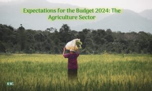 Expectations for the Budget 2024 The Agriculture Sector