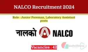 nalco recruitment 2024 2 65c0d021119b8