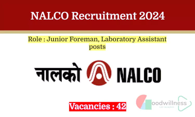nalco recruitment 2024 2 65c0d021119b8