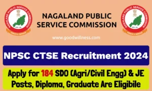 npsc ctse recruitment 660bf125aa6e9