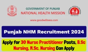 Punjab NHM Recruitment 2024