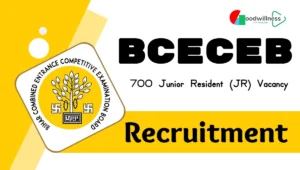 BCECEB JR Recruitment 2024