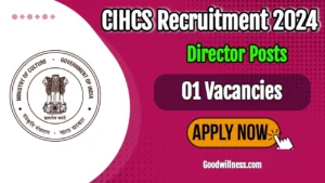 Ministry of Culture Director Recruitment 2024