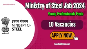 Ministry of Steel Young Professional Recruitment 2024