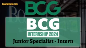 BCG Intern 2024