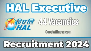 HAL Executive Recruitment 2024