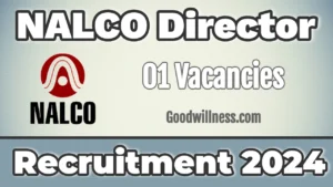 NALCO Director Finance Recruitment 2024