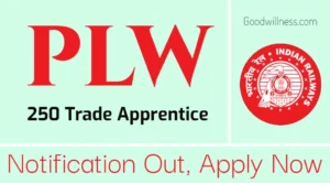 Patiala PLW Trade Apprentice Recruitment 2024