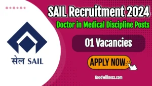 SAIL Consultant Recruitment 2024