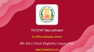 TN STAT Recruitment 2024