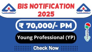 BIS Job Recruitment 2025