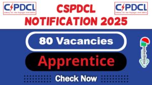 CSPDCL Job Recruitment 2025