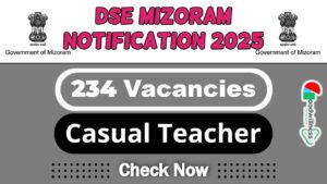 Directorate of Secondary Education Mizoram Job