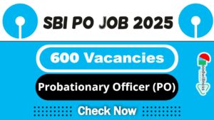 SBI PO Job Recruitment 2025