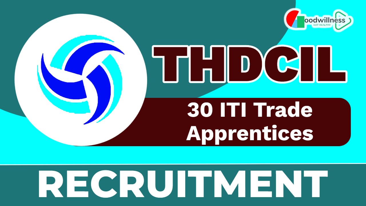 THDCIL Job Recruitment 2025