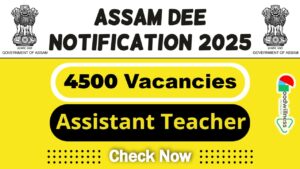 Director of Elementary Education Assam Job 2025